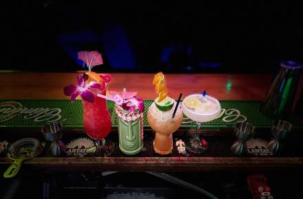 Signature Drinks