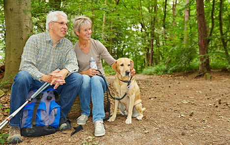 Gatlinburg-hiking-pet-friendly