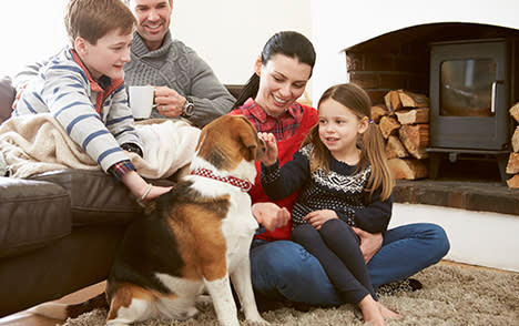Gatlinburg-lodging-pet-friendly
