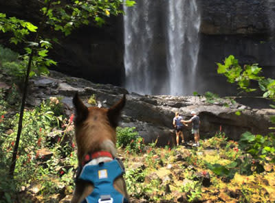 Dog Waterfall
