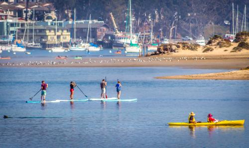 Kayak and Paddleboarders on the Bay