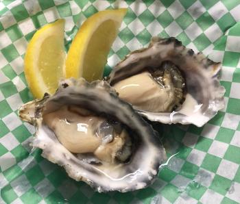 oyster3.jpg