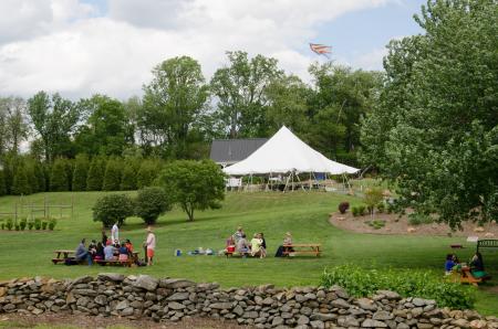 868 Estate Vineyards