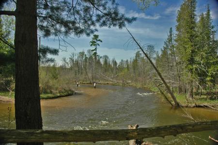 Sring Fishing in the Natural Education Reserve