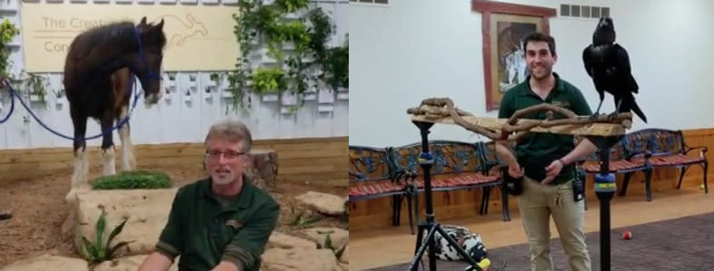 Creature Conservancy