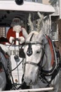 Horse Drawn Carriage
