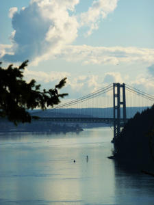 Tacoma Narrows Bridge