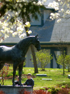 Horse Park Statue