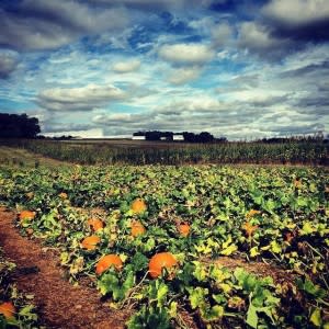 Autumn Adventures in Howard County MD