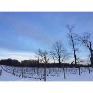 Greenhill Snow