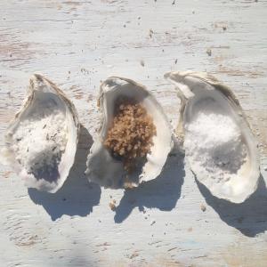 hatteras sea salt