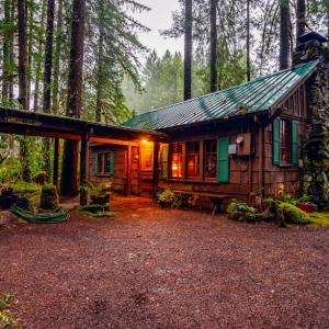 Mckenzie River Lodges Cabins Campgrounds Eugene Cascades Coast