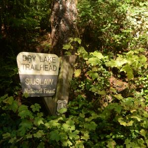Florence Oregon Hotels Campgrounds Eugene Cascades