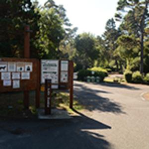 Florence Oregon Hotels Campgrounds Eugene Cascades