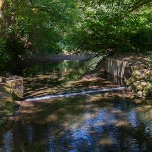 Florence Oregon Hotels Campgrounds Eugene Cascades