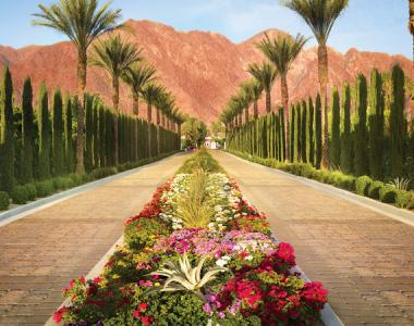 Hotel Deals In Greater Palm Springs