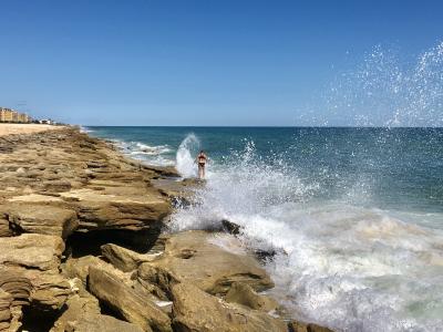 Stay True To Your Nature At Palm Coast Beaches Parks