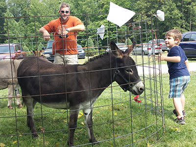 Mini Donkeys are fun and friendly.