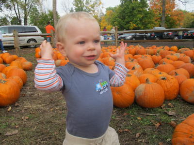 little boy at the pumpkin patch in Rochester, NY