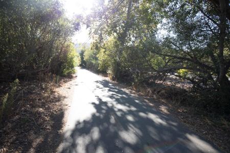 Bob Jones Trail