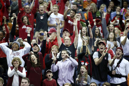 NCAA Volleyball Fans