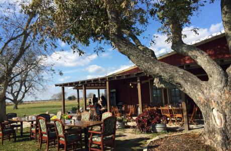 Amelia Farm & Market Patio
