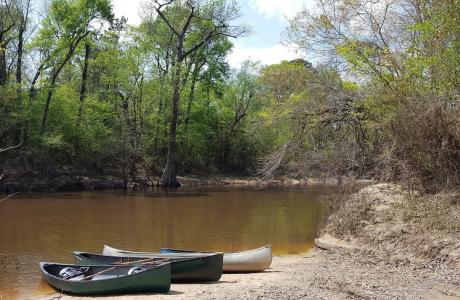 Paddling Village Creek