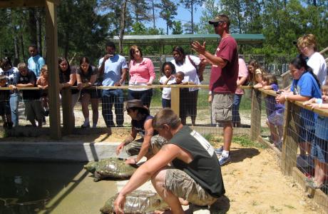 Gator Country