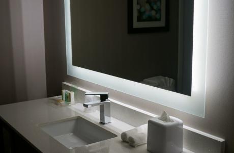 Holiday Inn Medical Bathroom