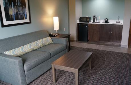 Holiday Inn Medical Living