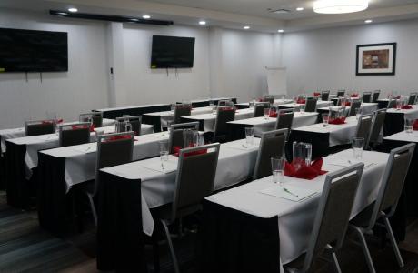 Holiday Inn Medical Meeting 2