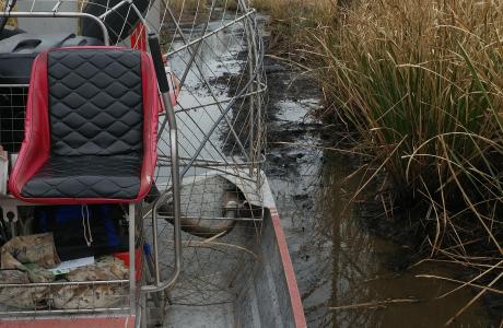 Airboat Trails