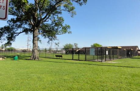 ida reed dog park
