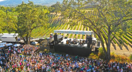 Harvest Festival BR Cohn