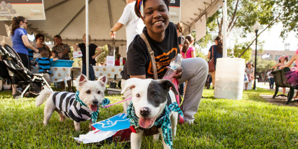 Dogtober Fest