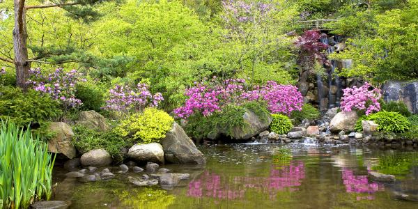 Anderson Japanese Gardens