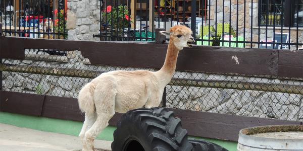 Craigslist Pa Poconos >> Free Things To Do In The Poconos 13 Fun Activities Craigslist Pa Poconos >> Free Things To Do In The Poconos 13 Fun Activities