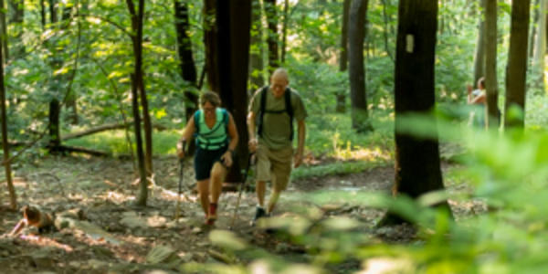 Peters Mountain Hiking couple