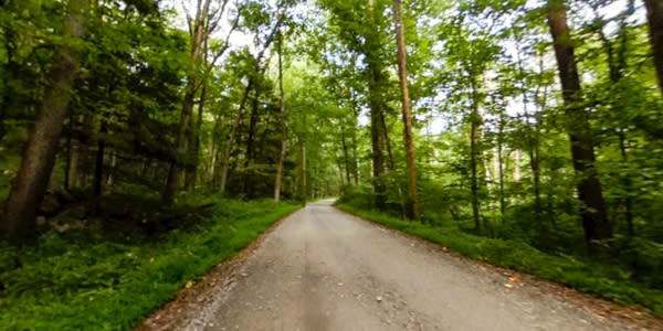 Stony Valley Trail