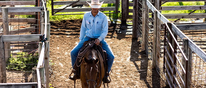 stockyards