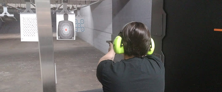 Wilshire Gun