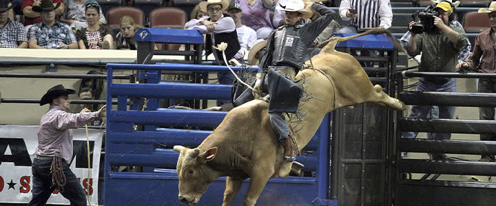 Bull riding - State Fair