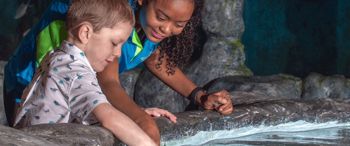 Kids at interactive water table in Blue Zoo