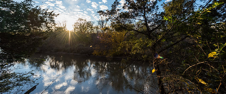 Stinchcomb wildlife refuge