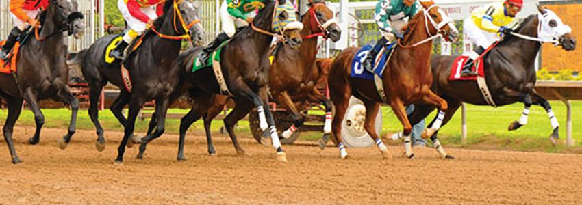 finger-lakes-gaming-and-racetrack-farmington-horses-out-of-the-gate