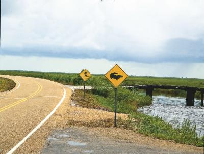 Creole-Nature-Trail-All-American-Road