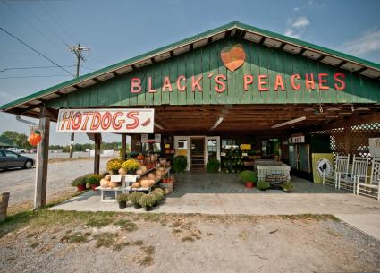 Black's Peaches