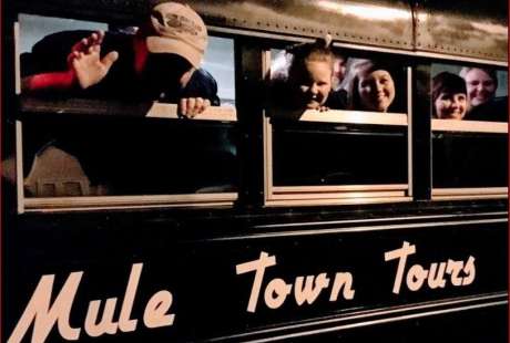 Mule Town Tours