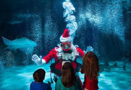 Scuba Santa