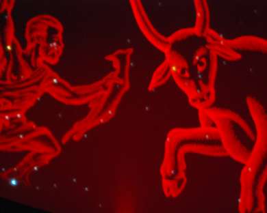 Saturday Star Shows 2019